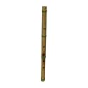 Shakuhachi, "DD"