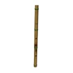 Shakuhachi Flute, Key of D