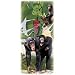 Chimpanzees - Zoo Stripes Adult T-Shirt