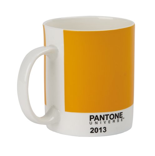 Whitbread Wilkinson Pantone Bone China Mug, Mango