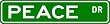 PEACE Street Name Sign ~ Family Lastname Sign ~ Gameroom, Basement, Garage Sign