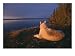 A White Husky Gazes at the Water, Siberian Husky Photographic Poster Print by Paul Nicklen, 24x18