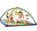 Tiny Love Gymini Activity Playmats for Babies