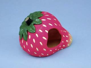 Harvest Homes Strawberry Small
