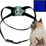 Li'l Pals Daisy Dog Harness/Leash Combo - Pink