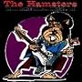 Jimi Hendrix Memorial Concerts 1995