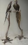 Indoor or Outdoor Bronze Statue pair of a Parrot on a Tree Branch - 2 pieces