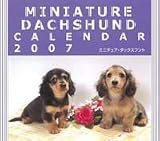 2007卓上カレンダー ミニチュア・ダックスフント
