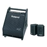 Roland PM-30 Powered Speaker Cabinet, Black