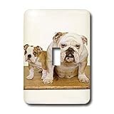 Dogs Bulldog - British Bulldog - Light Switch Covers - single toggle switch