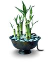 Bamboo Forest Fountain