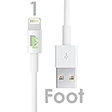 [Apple MFI Certified] Beam ElectronicsTM (Lifetime Guarantee) iPhone 5 & 6 Charging Cable, 8 Pin to USB Lightning Cable, Data/Sync Cable & Charger for Apple iPhone 5 5S 6 6 Plus, etc(1 Foot 1 Pack)