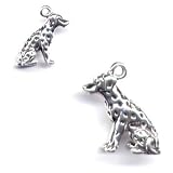 Sterling Silver Dalmatian Charm Dog Breed Jewelry Gift Boxed