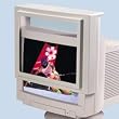 Deluxe Contour Radiation Filter, Fits 19" Monitors