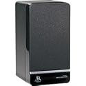 Audiovox AW880 Portable Wireless Indoor Speaker (Black)