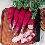 German Salad Radish Seeds (Eden Project range) (1 Pkt - 190 seeds)