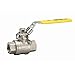 Watts 0548018 SFBV-1 2 1/2 2 1/2 Inch 2-Piece Full Port Stainless Steel Ball Valve, NPT Threaded End Connection, Lever Handle