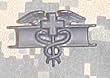 Expert Medical - Metal Insignia - Black - Full Size