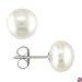 7.5-8 mm Freshwater Pearl Earrings in Silver