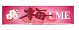 Ume Plum Chewing Gum