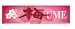 Lotte - Ume Plum Chewing Gum