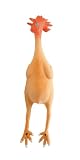 Athletic Specialties Rubber Chicken