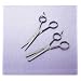 Hair Scissors