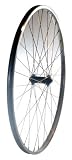 Alex X101 Alloy Freewheel 7/8S QR 700C Wheel Rear