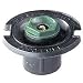 Plastic Flush Head With Plastic Nozzle (54005)