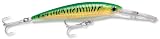 Rapala X-Rap Magnum (Gold Green Mackerel, 1 5/8 oz.)