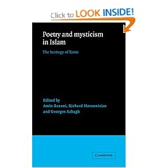 Poetry and Mysticism in Islam: The Heritage of Rumi (Levi Della Vida Symposia)