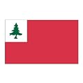 Continental 3ft x 5ft Polyester flag