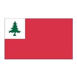 Continental 3ft x 5ft Polyester flag