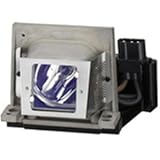 Polaroid Replacement Lamp for Projector (VLT-XL650LP)