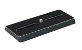 Gitzo G1174/38B Long Quick Release Plate  (Gray)