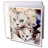 Cats - Cats - Greeting Cards-12 Greeting Cards with envelopes
