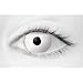 Contact Lens Zombie Very High Quality Stamping with solution and case