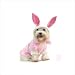 Bunny Dog Costume Size: 4 - (12.5