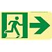 NMC 50F-1SN-R 7550 Glo Brite Nyc Directional Flex Glow Sign with Right Graphic, 8" Length x 4-1/2" Height, Green on Pale goldenrod