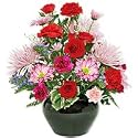 Flowers - Pretty Palette(Christmas offer: Free Shipping)