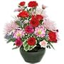 Flowers - Pretty Palette