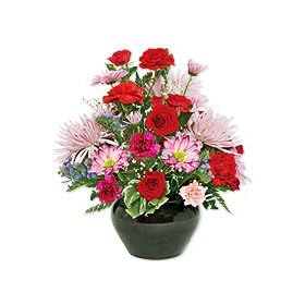 Flowers - Pretty Palette