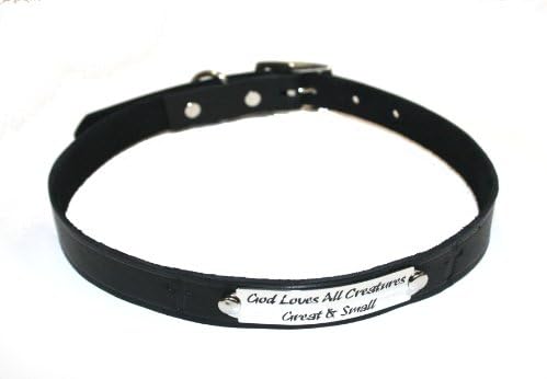 Auburn Leather 41-8157-100 Ark Survivor Series Black 3/4" X 24" Collar with Engraved Plates