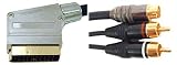 Scart to 2x Phono & S-Video Gold Cable