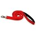 Petmate by Aspen Pet Comfort Cushion Leash in Red