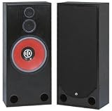 BIC AMERICA RTR-1530 15-Inch 3-Way Floor Standing Speaker (BIC AMERICA RTR1530)