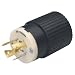 Reliance Generator Plug - 20 Amp, L14-20 Male