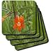 Monkey Flower.(Mimulus sp.).Crystal Cove State Park, California - Set Of 8 Coasters - Soft