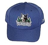 Minnesota Timberwolves Team Cap