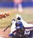 Mookie Wilson autographed 8x10 Photo (New York Mets)